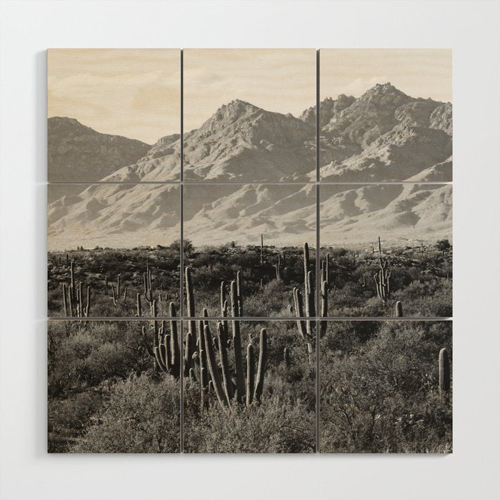 Wild West Iii - Tucson - Black & White Version Wood Wall Art