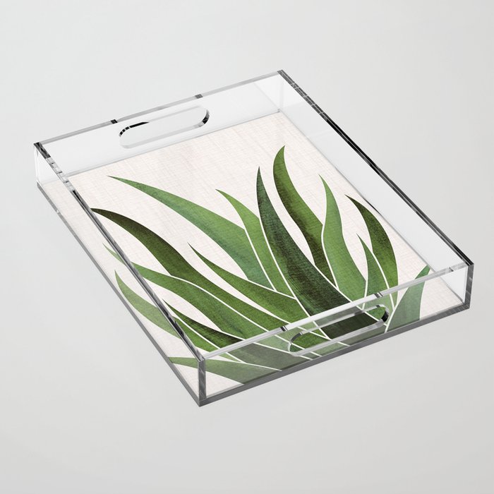 Desert Agave Succulent Illustration Acrylic Tray