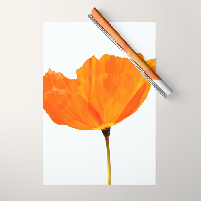 One And Only - Orange Poppy White Background #Decor #Homestorie #Buyart Wrapping Paper