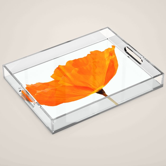 One And Only - Orange Poppy White Background #Decor #Homestorie #Buyart Acrylic Tray