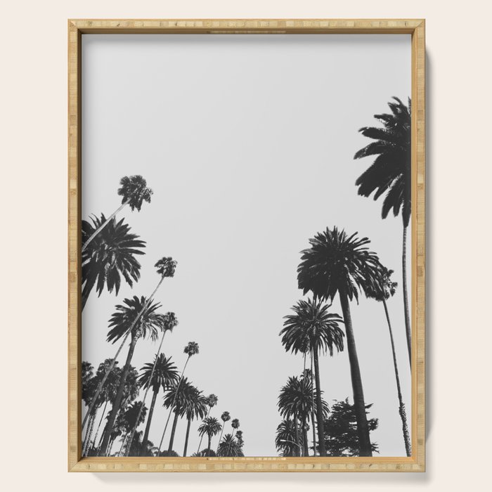 Palm Spring California, Palms Serving Tray