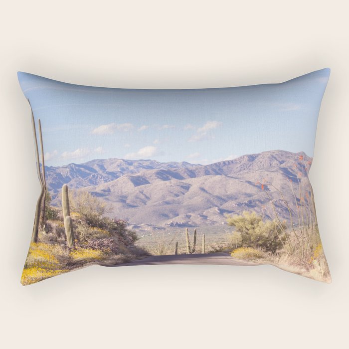 Down Desert Roads, Iv Rectangular Pillow