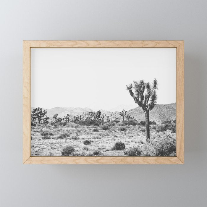 Joshua Tree Monochrome, No. 1 Mini Art Print