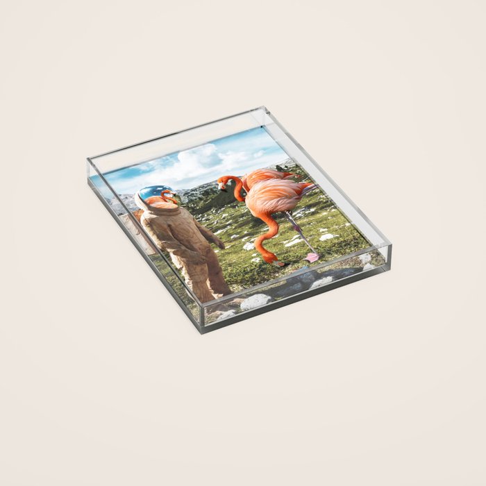 thumb-1
