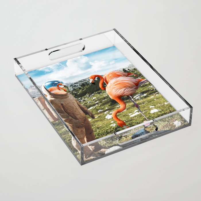 Alternate Reality, Surrealism Digital Photography, Space Flamingo Astronaut Collage Acrylic Tray