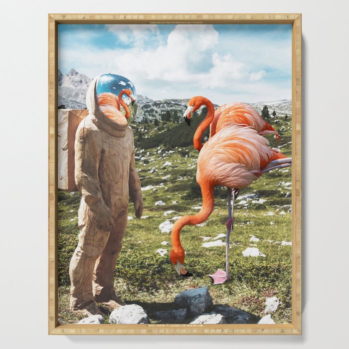 Alternate Reality, Surrealism Digital Photography, Space Flamingo Astronaut Collage Serving Tray
