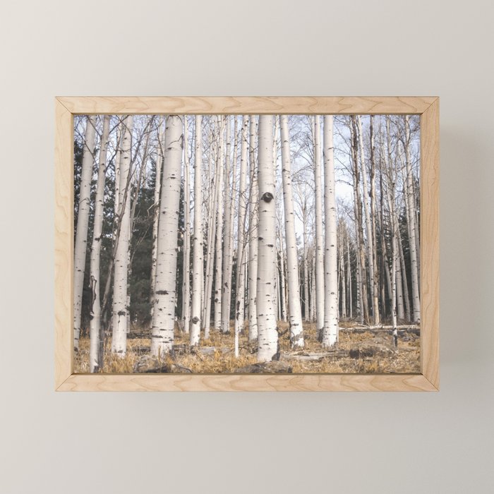 Trees Of Reason - Birch Forest Mini Art Print