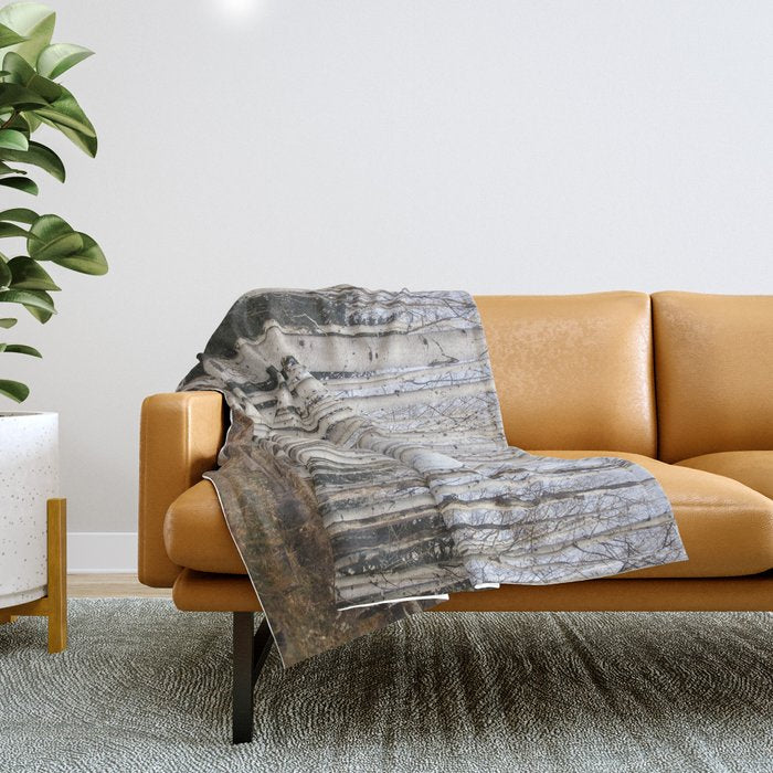 Trees Of Reason - Birch Forest Throw Blanket
