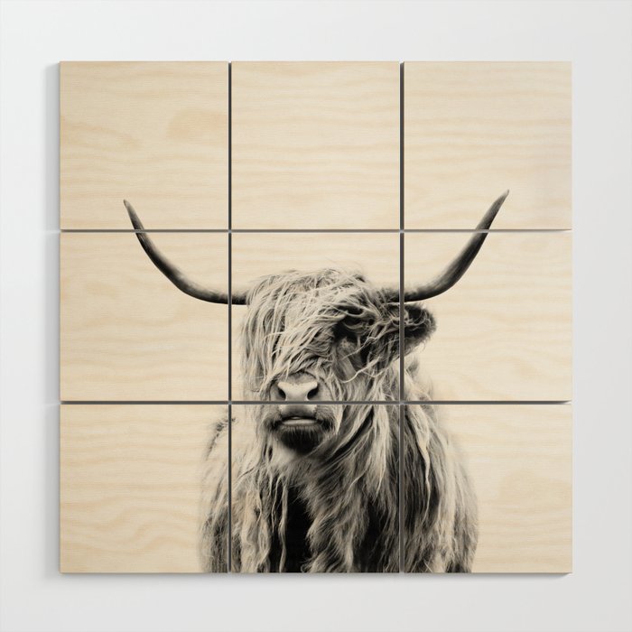 Portrait Of A Highland Cow Wood Wall Art