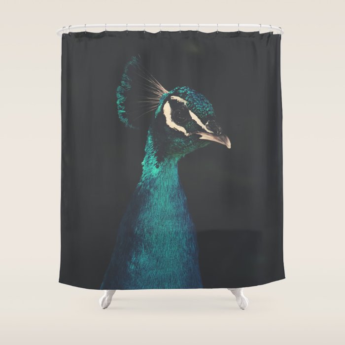 Peacock And Proud - Beautiful Bird Photography By Ingrid Beddoes Shower Curtain