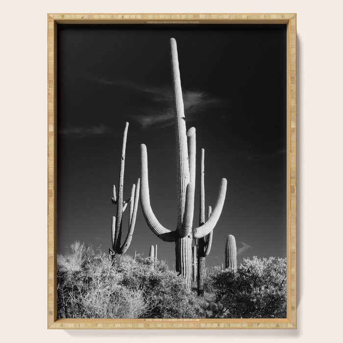 Black And White Saguaro Cactus Photo Serving Tray