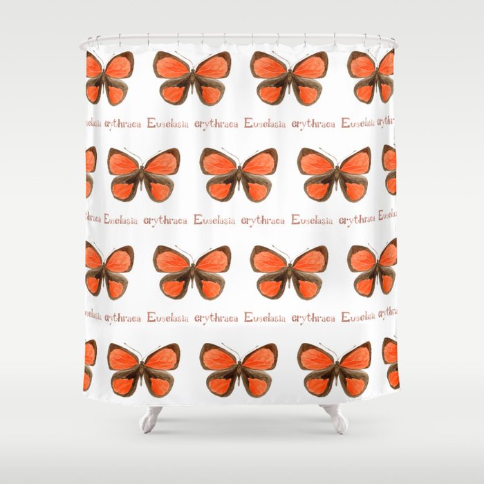 Butterfly - Euselasia Erythraea Shower Curtain