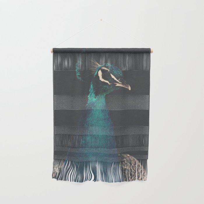 Peacock And Proud - Beautiful Bird Photography By Ingrid Beddoes Wall Hanging