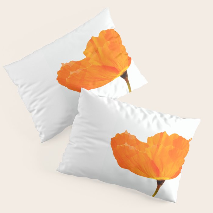 One And Only - Orange Poppy White Background #Decor #Homestorie #Buyart Pillow Sham
