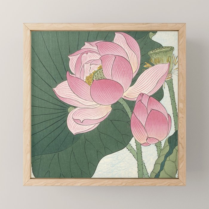 Flowering Lotus Flowers, Ohara Koson Mini Art Print