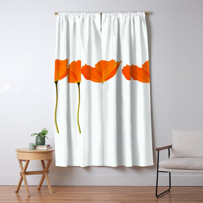 Three Orange Poppy Flowers White Background  Window Curtain
