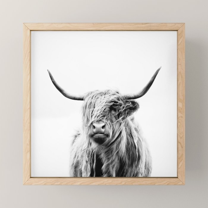 Portrait Of A Highland Cow Mini Art Print