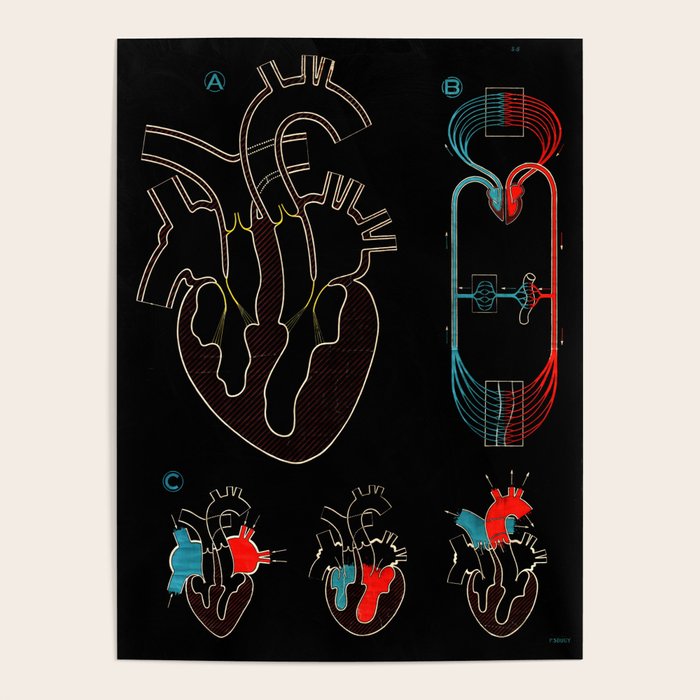 Paul Sougy: The Human Heart, 1950s (Proceeds Benefit The Nature Conservancy) Poster