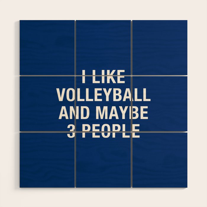I Like Volleyball And Maybe 3 People Wood Wall Art