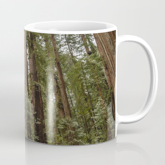 Redwood Forest Adventure Vii - Nature Photography Coffee Mug