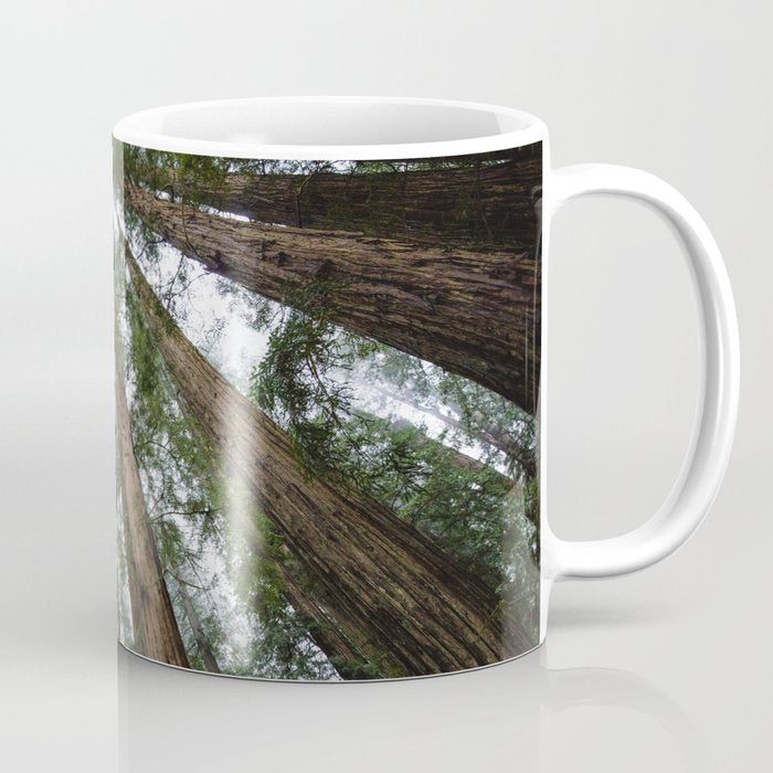Redwood Forest Adventure Vi - Nature Photography Coffee Mug