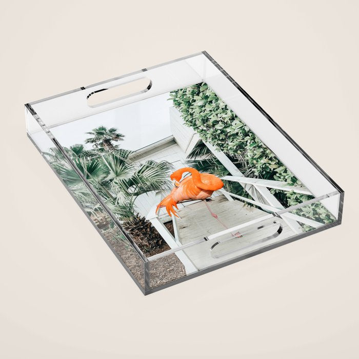 Flamingo Beach House, Wildlife Architecture Jungle Photography, Eclectic Birds Digital Art Acrylic Tray