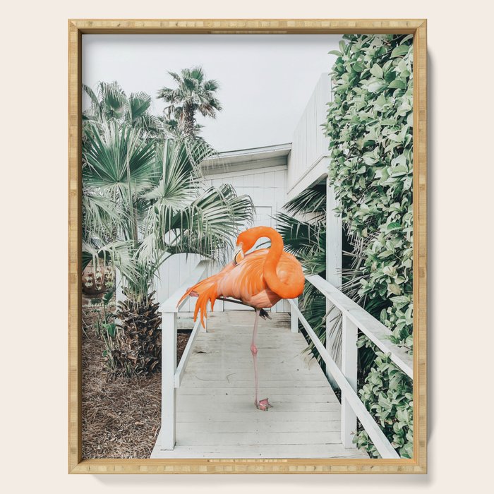 Flamingo Beach House, Wildlife Architecture Jungle Photography, Eclectic Birds Digital Art Serving Tray