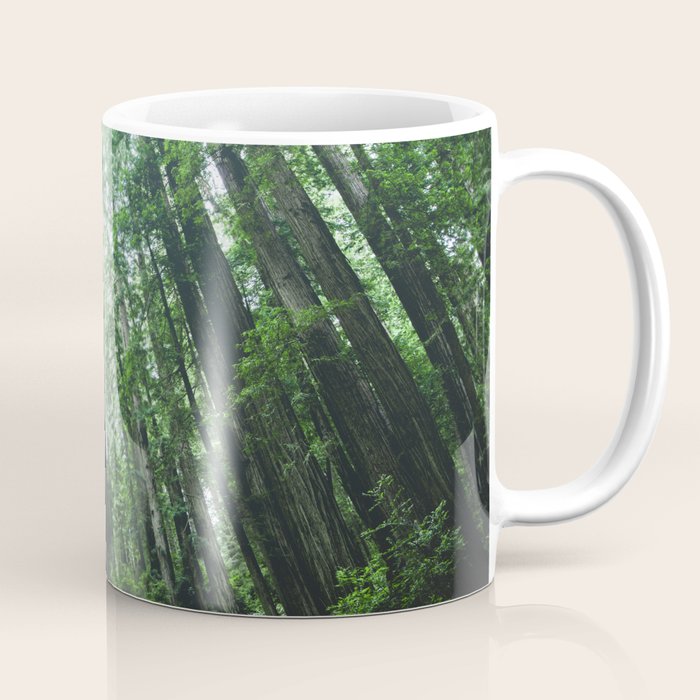 Redwood National Park- Pacific Northwest Nature Photography Coffee Mug