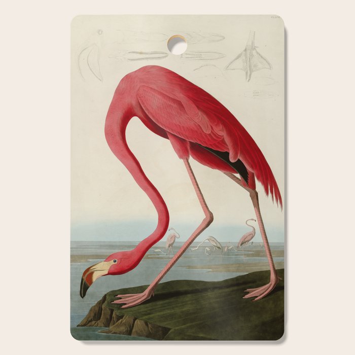 American Flamingo By John James Audubon, Vintage Illustration Cutting Board