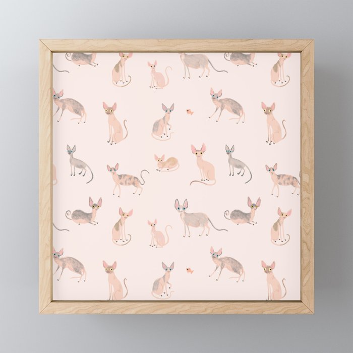 Sphynx Cats - No Furr Don'T Care - Cat Pink Mini Art Print