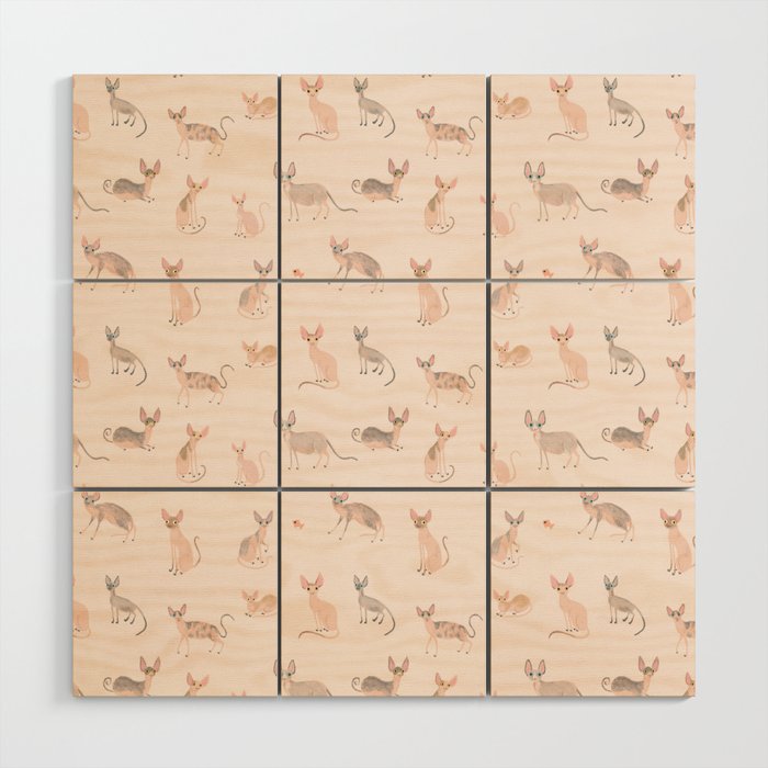 Sphynx Cats - No Furr Don'T Care - Cat Pink Wood Wall Art