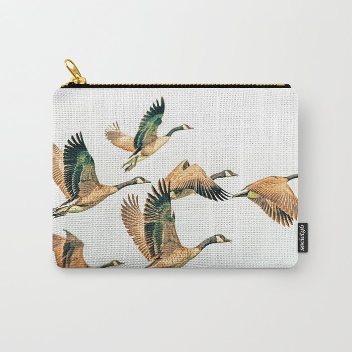 Fly Away || #Photography #Birds Carry All Pouch