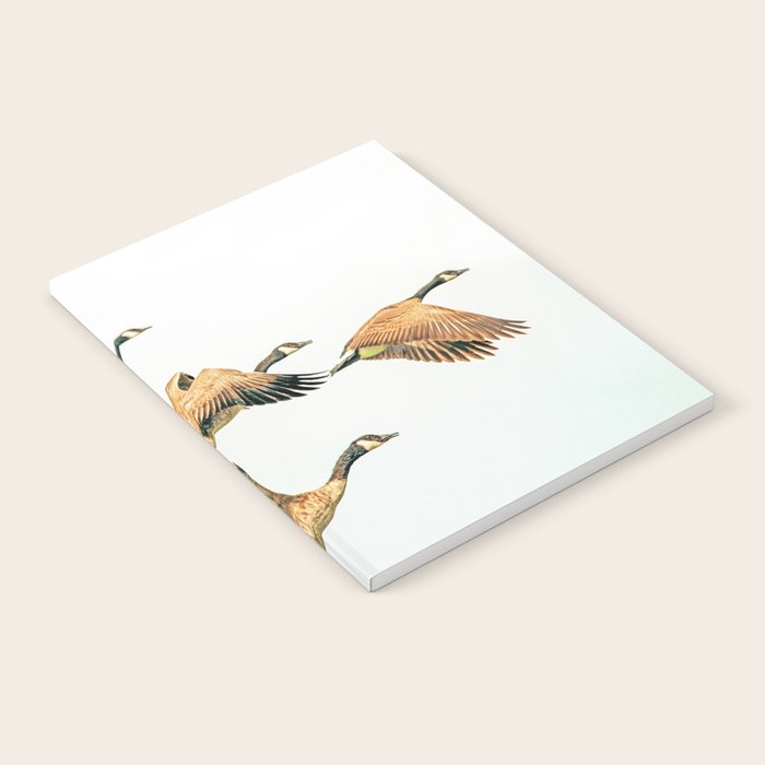 Fly Away || #Photography #Birds Notebook