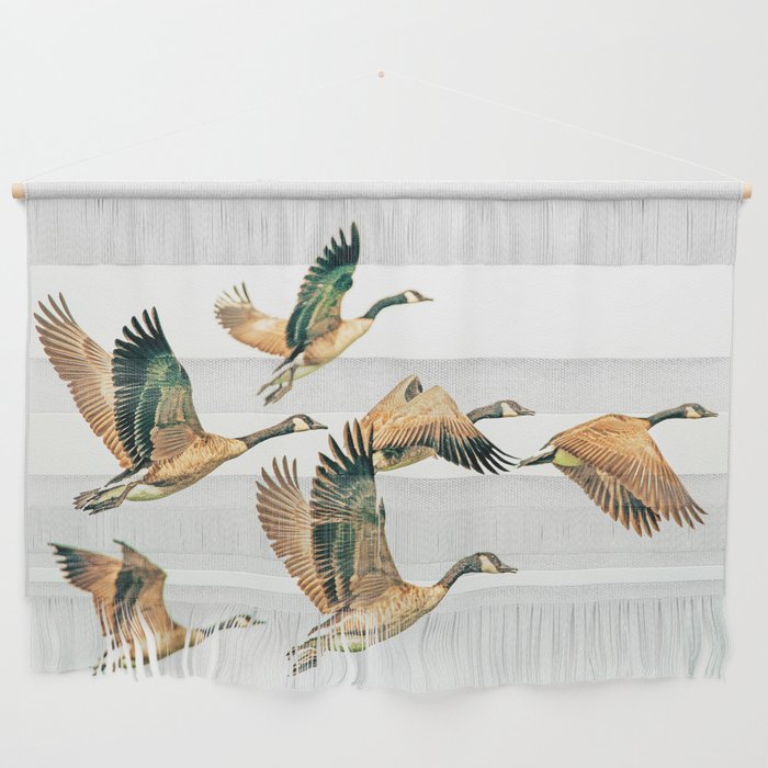 Fly Away || #Photography #Birds Wall Hanging