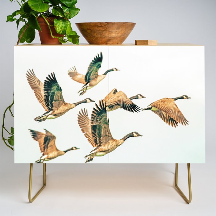 Fly Away || #Photography #Birds Credenza