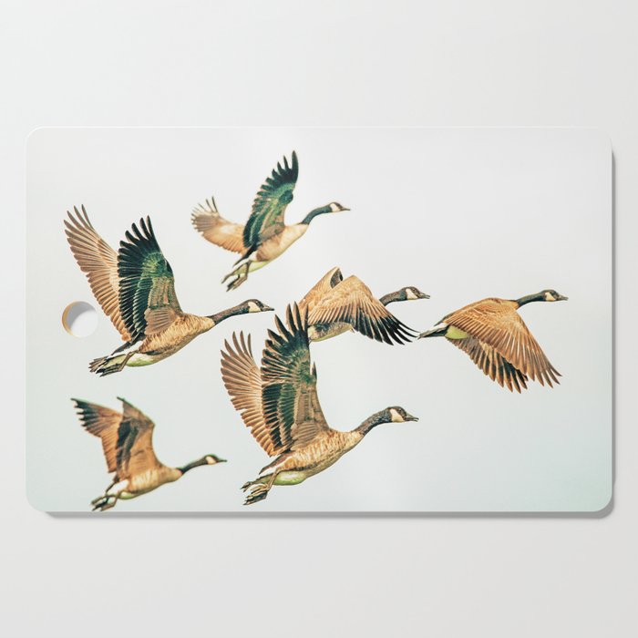Fly Away || #Photography #Birds Cutting Board