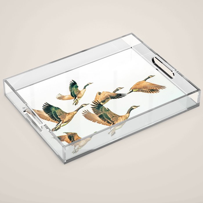 Fly Away || #Photography #Birds Acrylic Tray