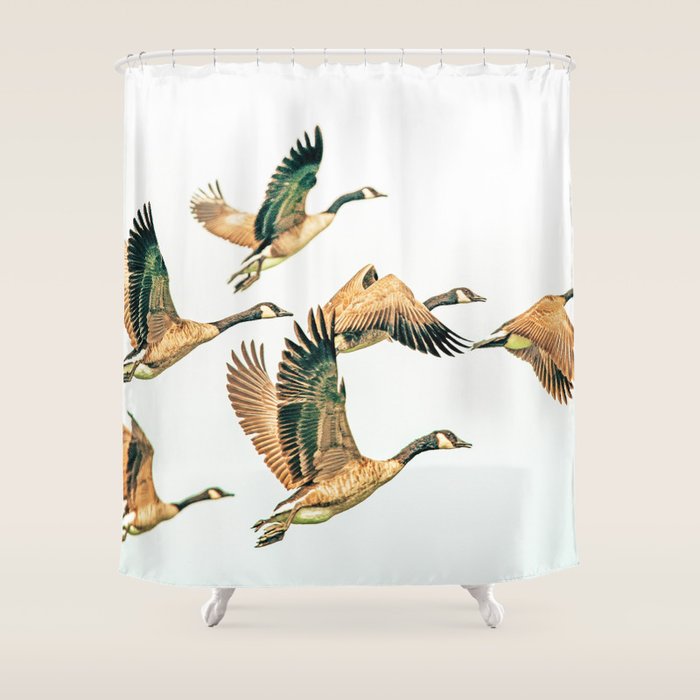 Fly Away || #Photography #Birds Shower Curtain