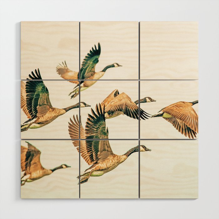 Fly Away || #Photography #Birds Wood Wall Art
