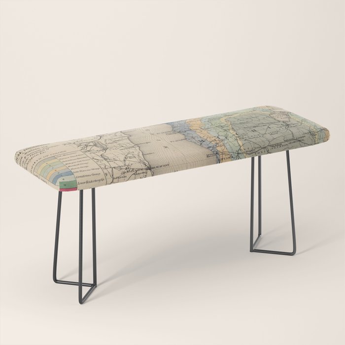 Vintage Michigan Geology Map (1873) Bench