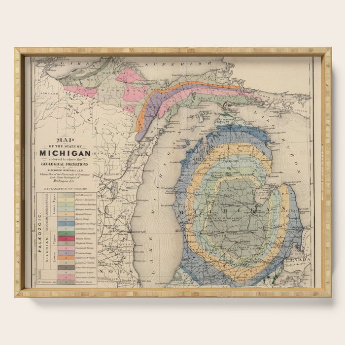 Vintage Michigan Geology Map (1873) Serving Tray