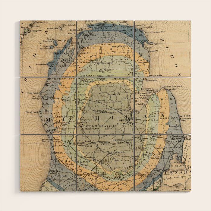 Vintage Michigan Geology Map (1873) Wood Wall Art