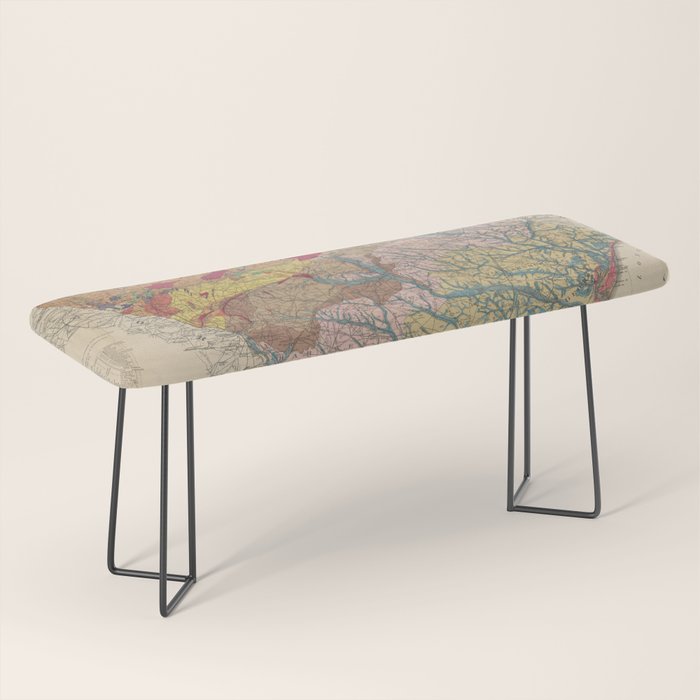 Vintage Geological Map Of South Carolina (1883) Bench