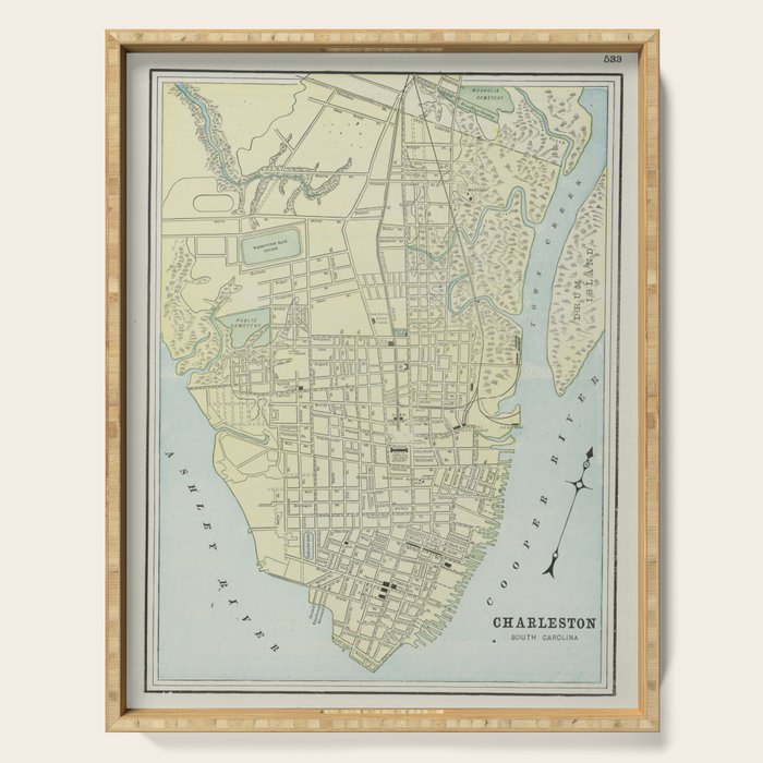 Vintage Map Of Charleston Sc (1901) Serving Tray