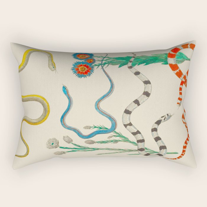 Locupletissimi Rerum Naturalium - Vol. 2 - Albertus Seba Colorful Snake Floral Arrangement Rectangular Pillow