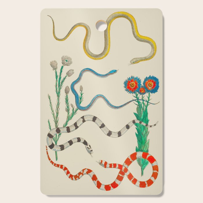 Locupletissimi Rerum Naturalium - Vol. 2 - Albertus Seba Colorful Snake Floral Arrangement Cutting Board