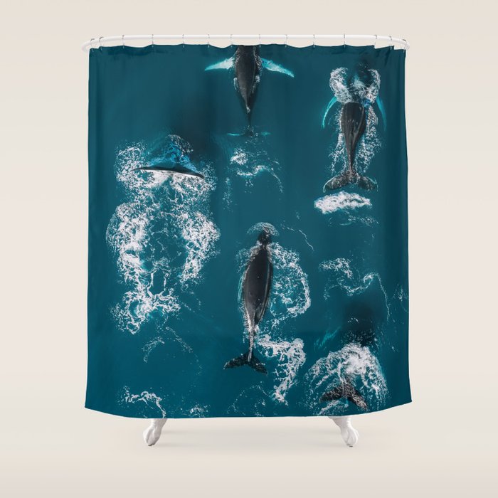 Humpback Whales In The Arctic Shower Curtain