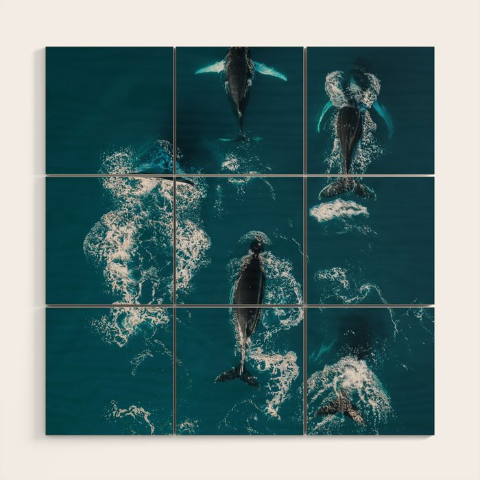 Humpback Whales In The Arctic Wood Wall Art