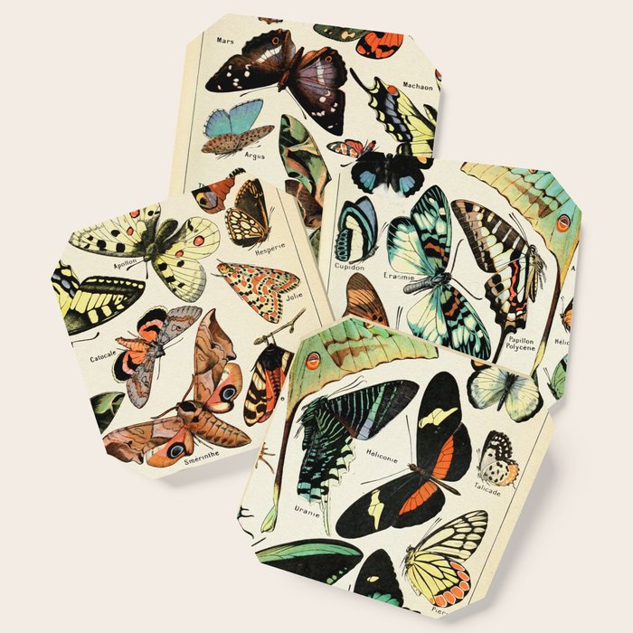 Papillon I Vintage French Butterfly Charts By Adolphe Millot Coaster