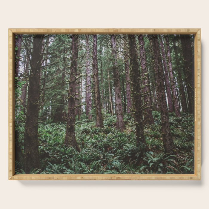 Forest Dark, Forest Deep Iii Serving Tray